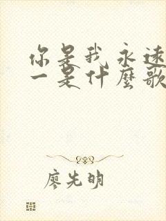 你是我永远的唯一是什么歌的歌词