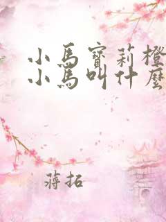 小马宝莉橙色的小马叫什么