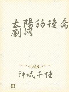 太阳的后裔 韩剧网