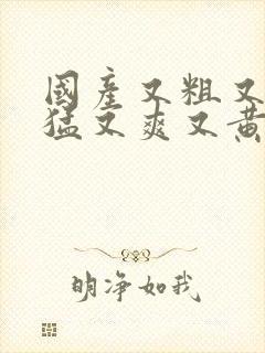 国产又粗又tⅴ猛又爽又黄的视频