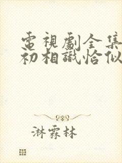 电视剧全集与君初相识恰似故人归免费