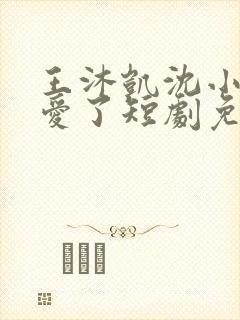 王沐凯沈小姐不爱了短剧免费播放