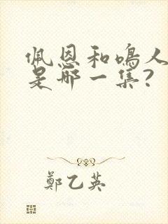 佩恩和鸣人战斗是哪一集?