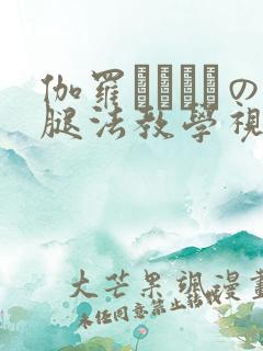 伽罗ちゃんへの腿法教学视频