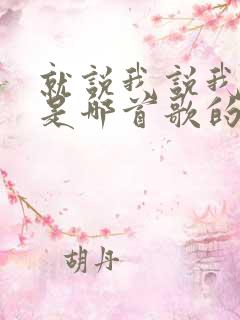 就说我说我爱你是哪首歌的歌词