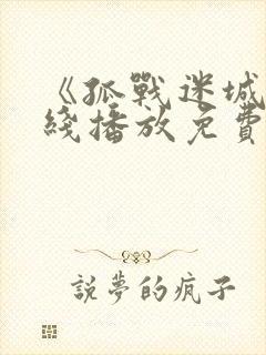 《孤战迷城》在线播放免费版