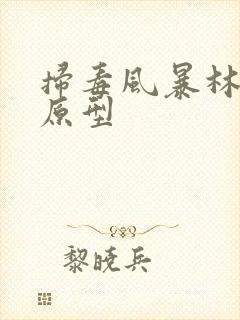 扫毒风暴林强峰原型