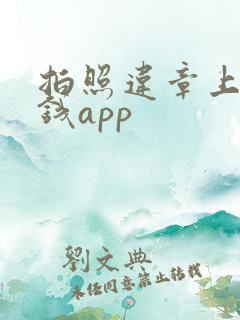 拍照违章上传赚钱app
