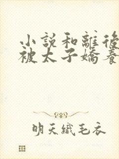 小说和离后,我被太子娇养了