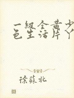 一级全黄少妇性色生活片丫