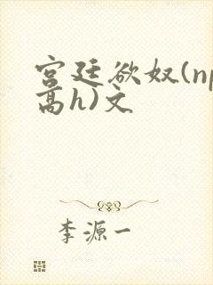 宫廷欲奴(np高h)文