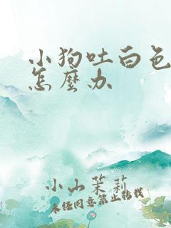 小狗吐白色粘液怎么办