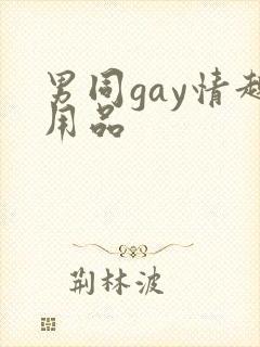 男同gay情趣用品