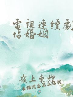 电视连续剧下一站婚姻