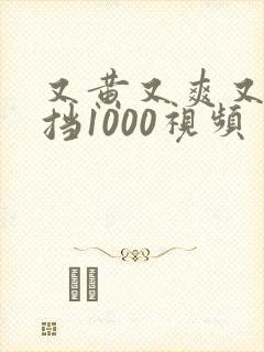 又黄又爽又无遮挡1000视频