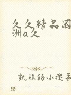 久久精品国产亚洲a久