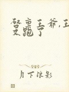 启禀王爷,王妃又跑了