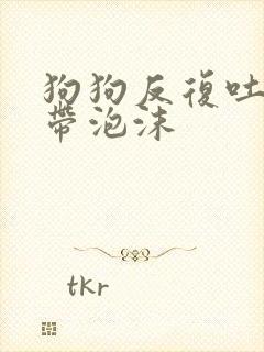 狗狗反复吐黄水带泡沫