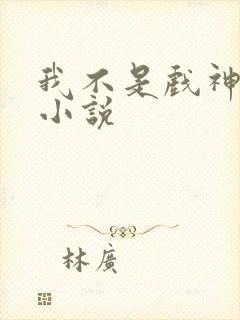 我不是戏神同人小说