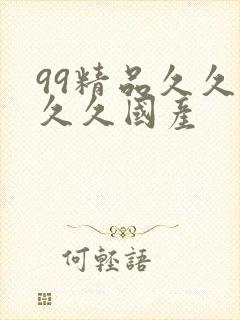 99精品久久久久久国产