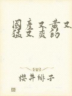 国产又黄又粗又猛又爽的