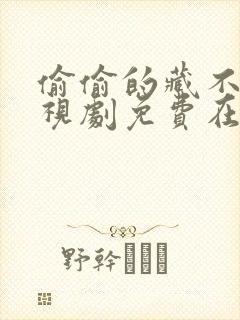 偷偷的藏不住电视剧免费在线