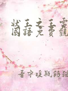 状王之王电视剧国语免费观看全集