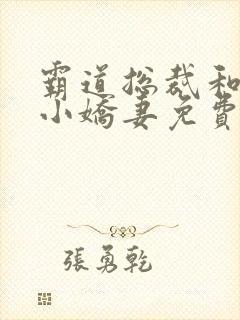 霸道总裁和他的小娇妻免费观看全集