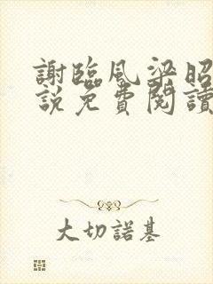 谢临风梁昭昭小说免费阅读