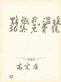 点燃我温暖你第36集免费观看