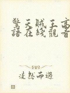 惊天贼王高清国语在线观看免费