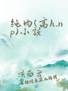 纯肉(高h.np)小说