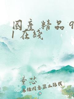 国产 精品 91 在线