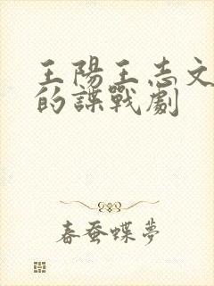 王阳王志文主演的谍战剧