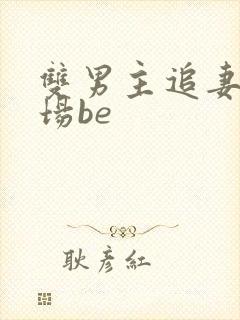 双男主追妻火葬场be