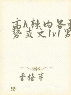 高h辣肉各种姿势爽文1v1男男