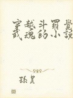 穿越斗罗觉醒剑武魂的小说