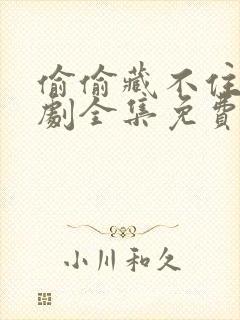 偷偷藏不住电视剧全集免费11