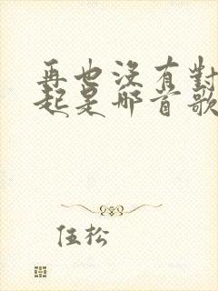 再也没有对你想起是哪首歌歌词