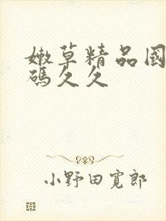 嫩草精品国产乱码久久