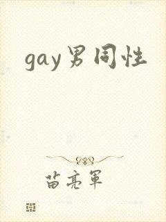 gay男同性