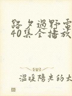 路夕过野电视剧40集全播放