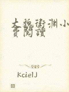 大魏卫渊小说免费阅读