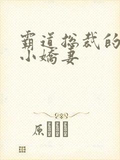 霸道总裁的狐狸小娇妻