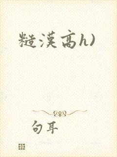 糙汉高h)
