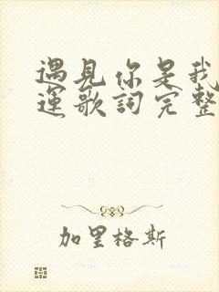 遇见你是我的幸运歌词完整版