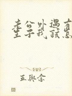 老公外遇有了私生子我该怎么办