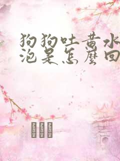 狗狗吐黄水带泡泡是怎么回事