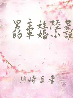 男主姓陆是首长的军婚小说