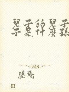 儿子的儿子的儿子是什么孙